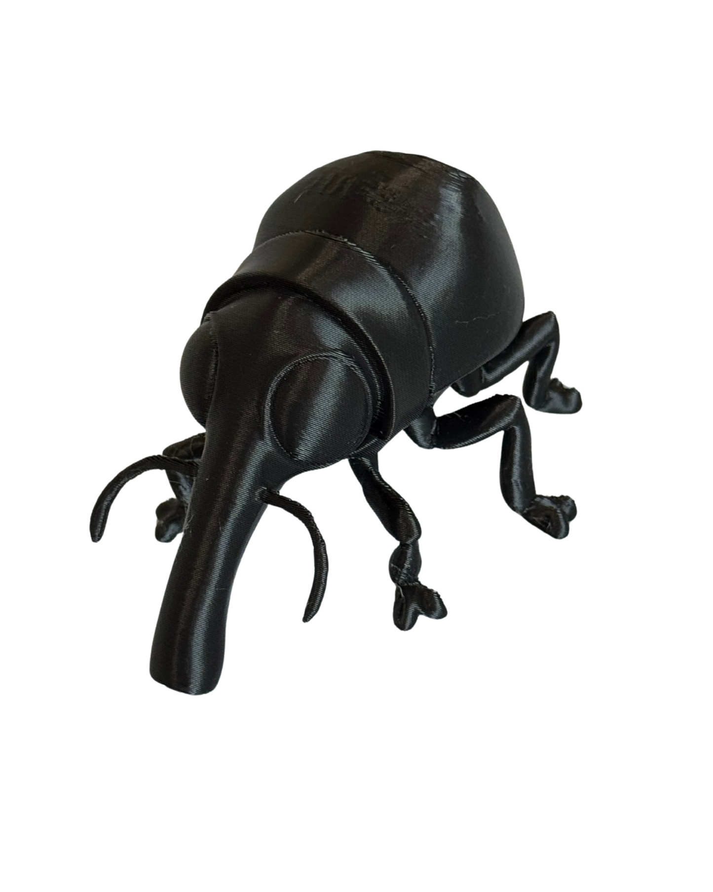 Baby Weevil